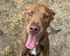 Leroy - Photo 1