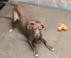 Leroy - Photo 3