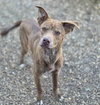 Leroy - Photo 4