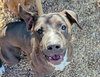 Rigby - Photo 4