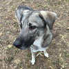 Barnum - Photo 1