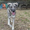 Barnum - Photo 2