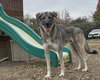 Barnum - Photo 3