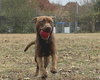 Naomi - Photo 4
