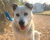 Tucker - Photo 1