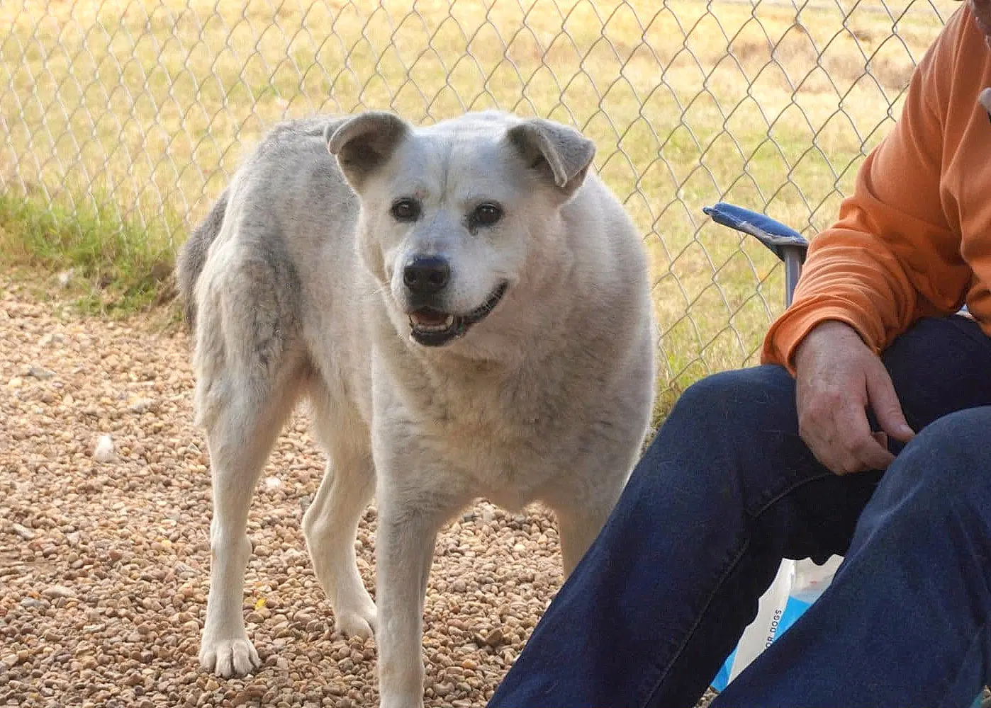 Tucker image 2