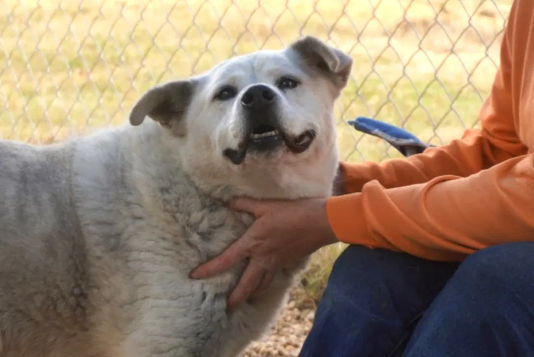 Tucker image 3