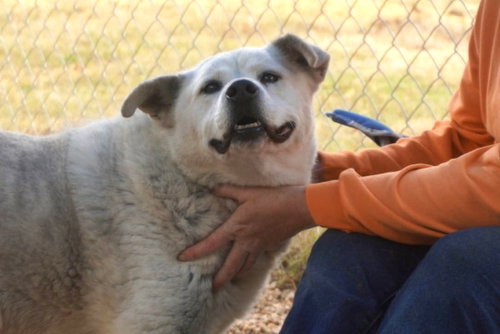 Tucker, photo 3