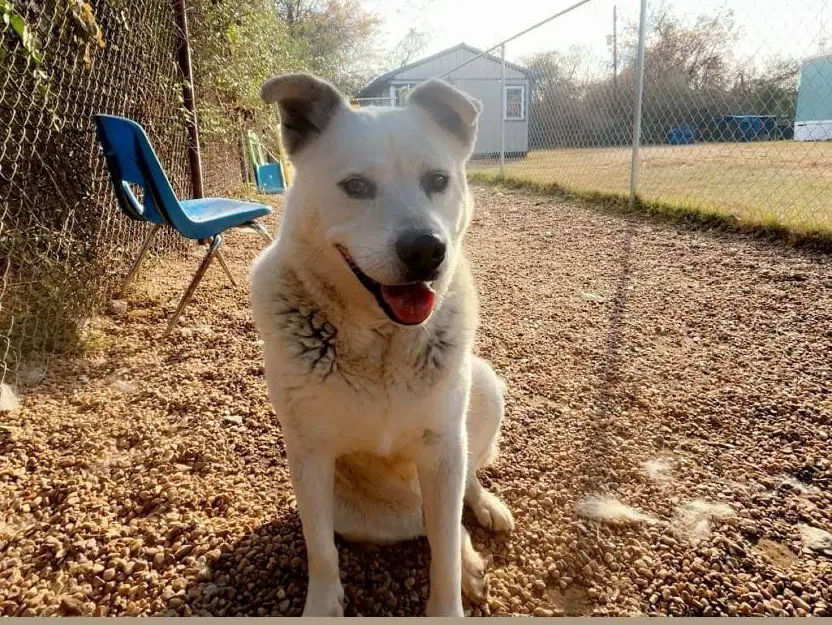Tucker image 4