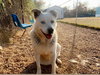 Tucker - Photo 4