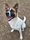Odin - Photo 4