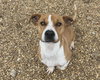 Suzie - Photo 4