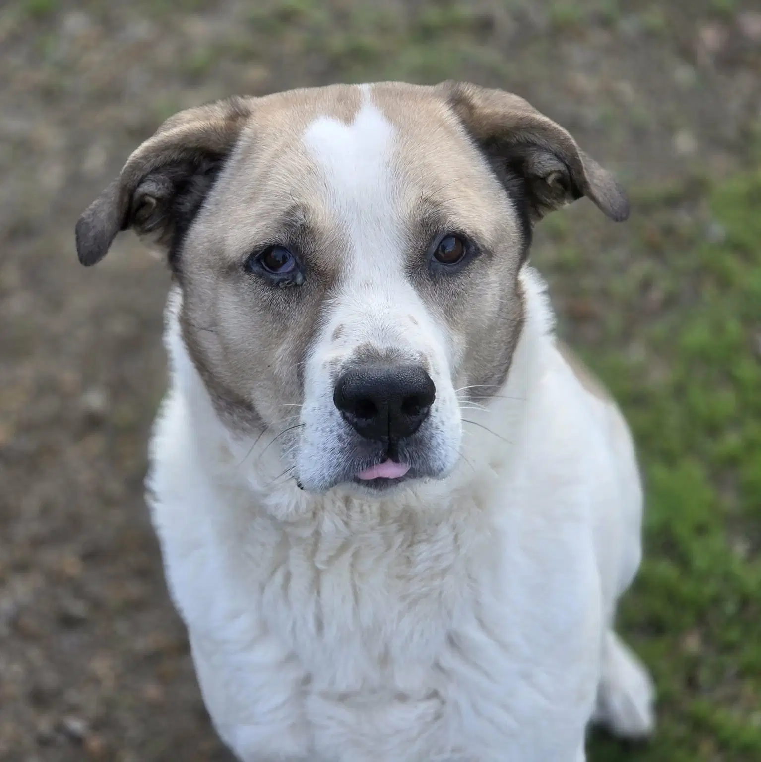Max image 4