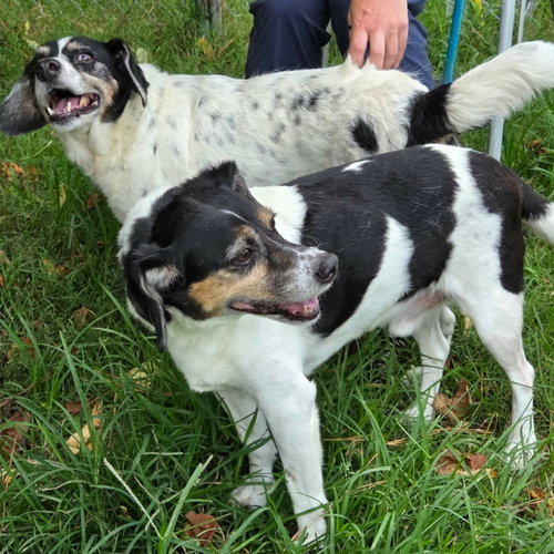 Levon (& Leroy), photo 4