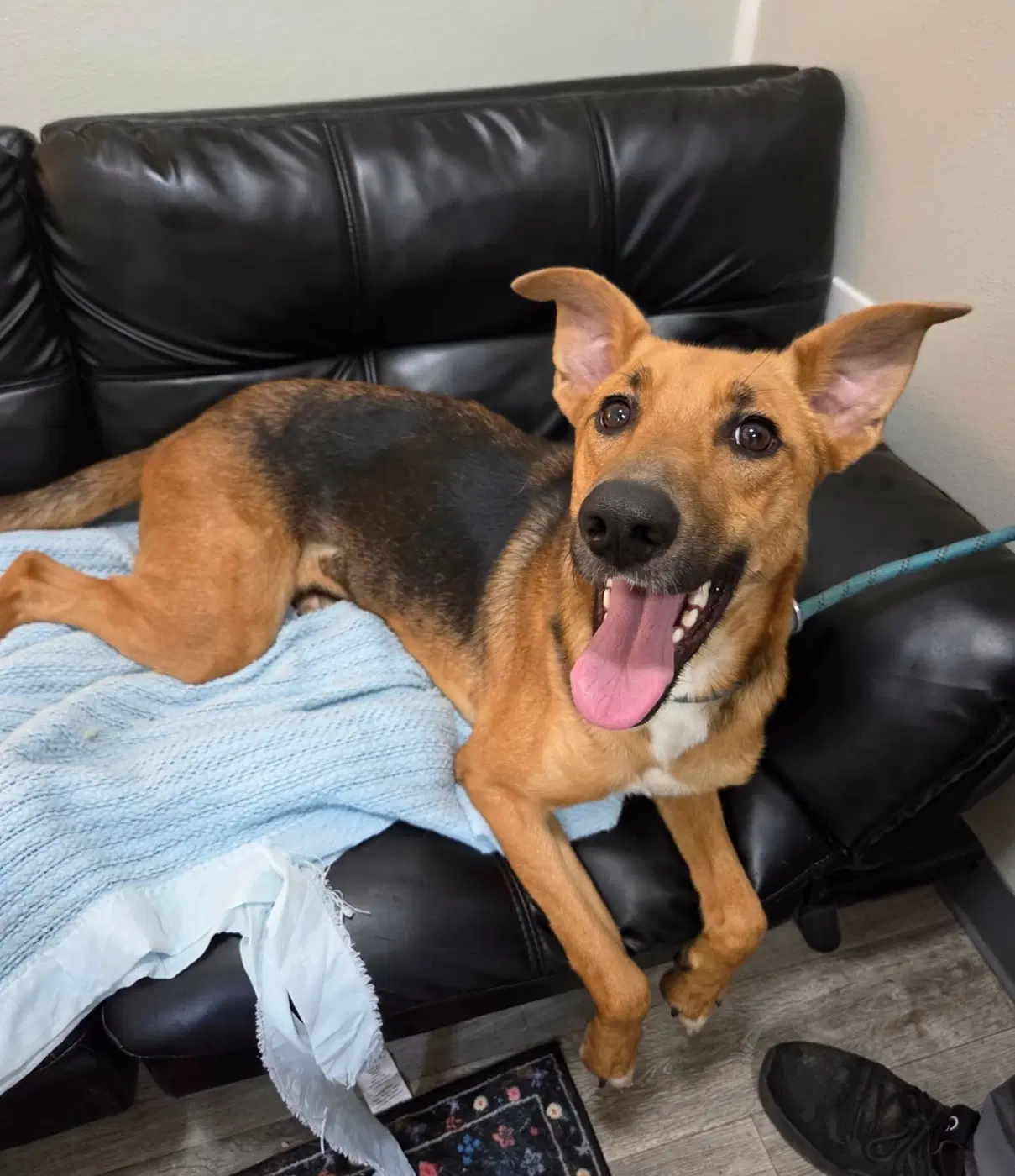 Tanner image 4
