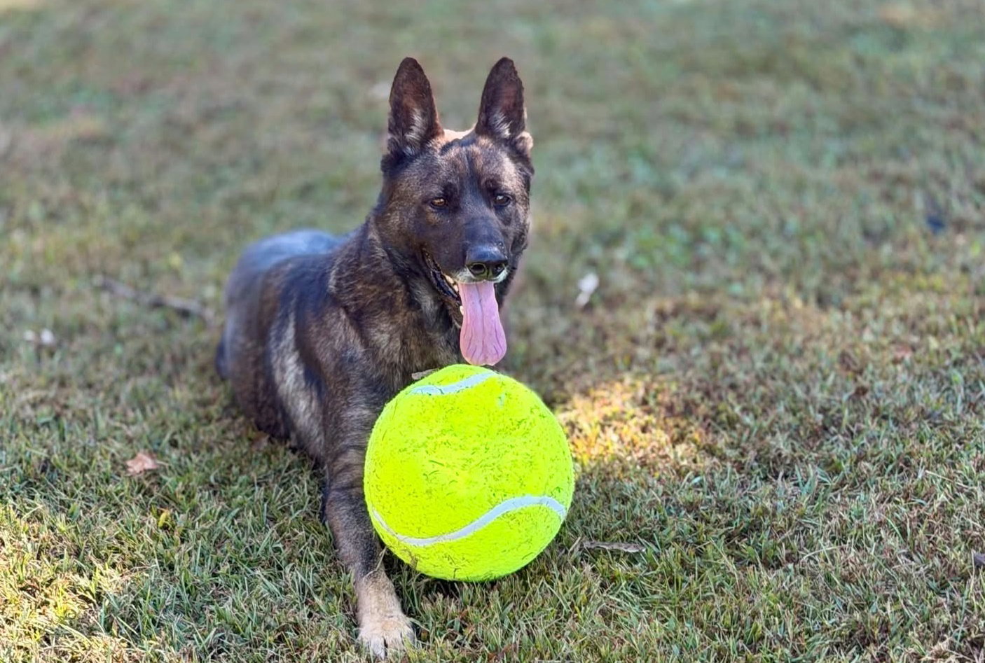 Atlas, photo 2