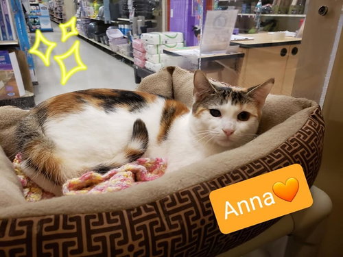 Photo 3 of Anna