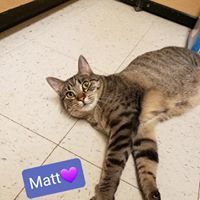 Photo 3 of Matt