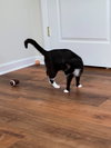 Junebug - Photo 3