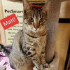 Matt - Photo 3