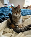 Timothy - Photo 3
