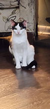 Cate - Photo 2
