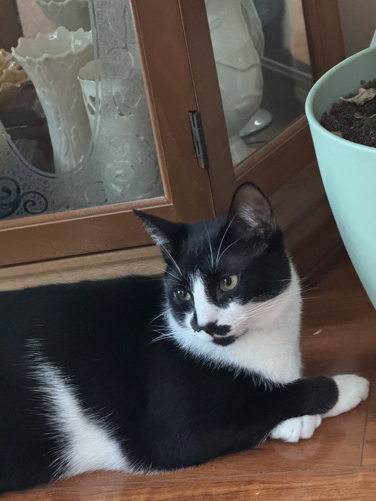 Sprocket Image