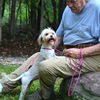 adoptable Dog in  named Nina