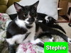 Stephie - Photo 2