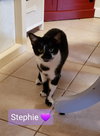 Stephie - Photo 3