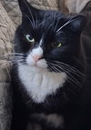 Timmy - Photo 1