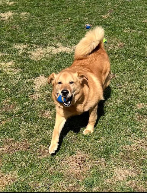 Oakley