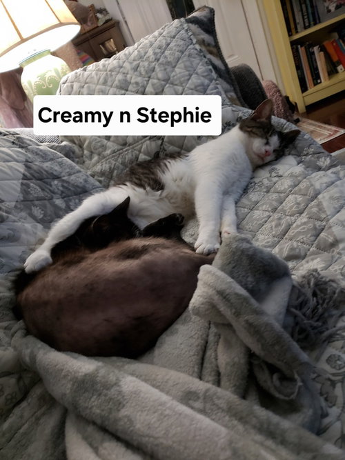 Photo 2 of Creamy