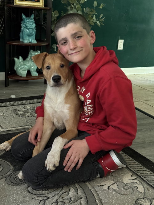 Jent, an adoptable Australian Cattle Dog in Willingboro, NJ