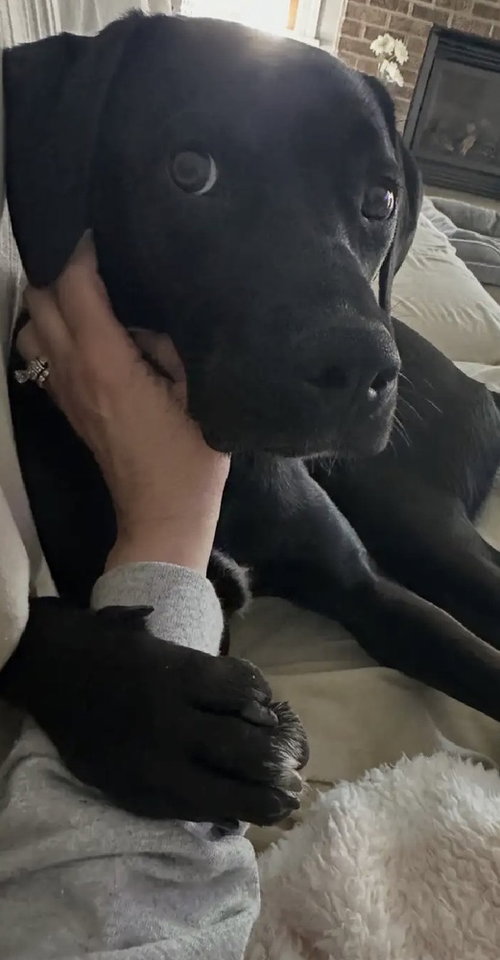 Enzo