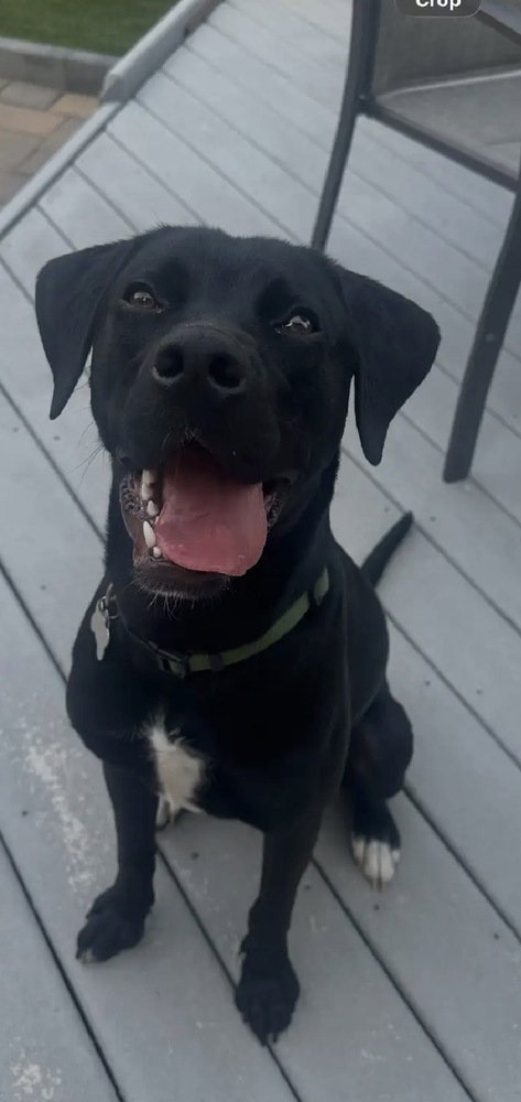 Enzo photo 3