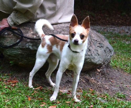 Leroy photo 2
