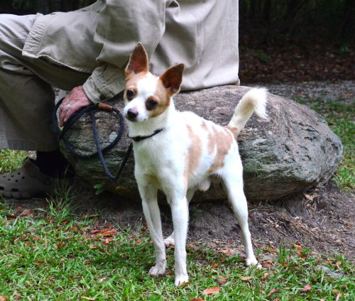 Leroy photo 3