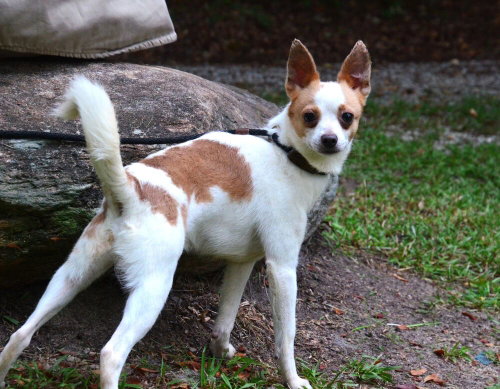 Leroy photo 4