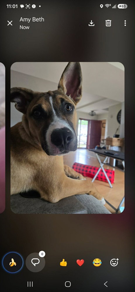 Jack photo 3
