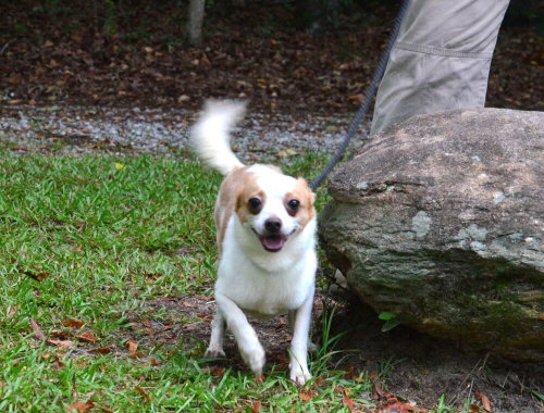 Leroy photo 2