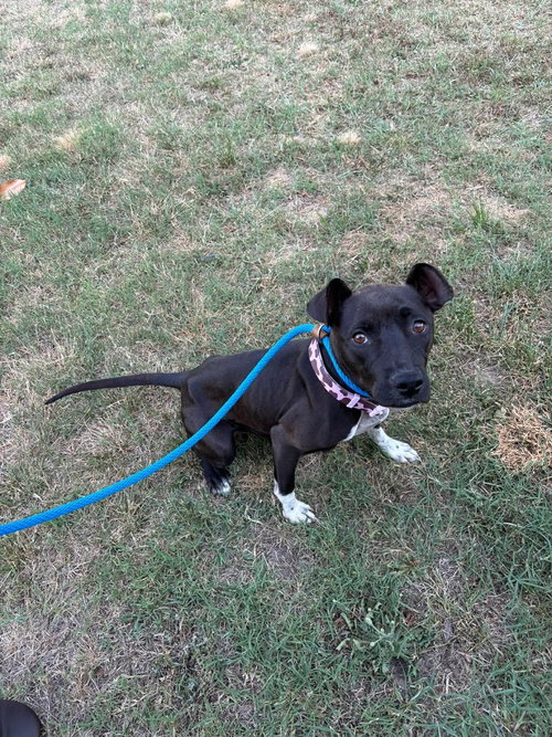 George photo 4