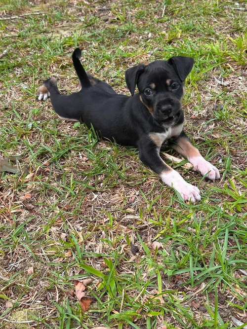 Willie photo 3