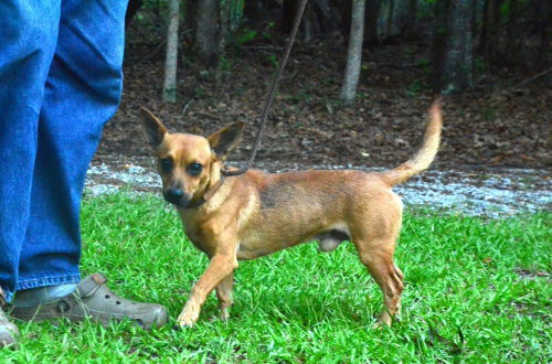 Duncan photo 3