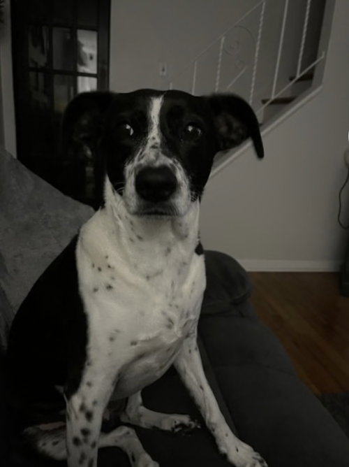 Nora, photo 4