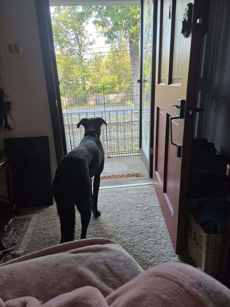 Onyx, photo 3
