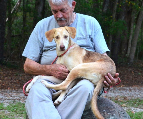 Photo 2 of Hazel