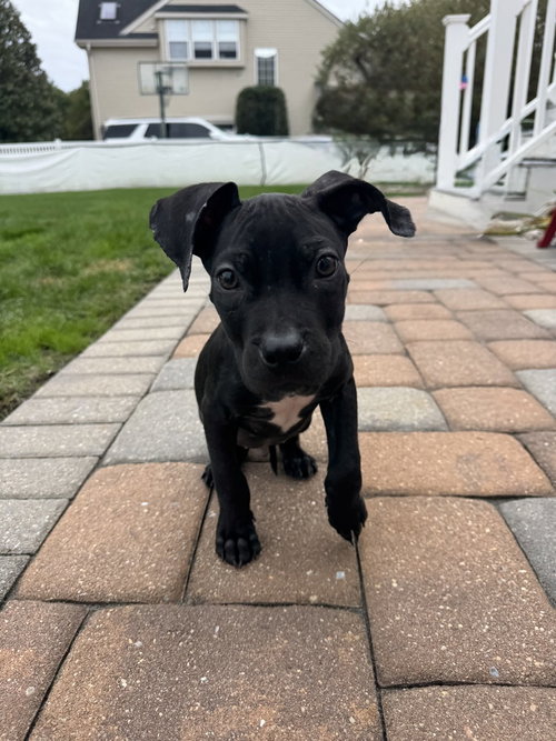 Photo 3 of Emmitt