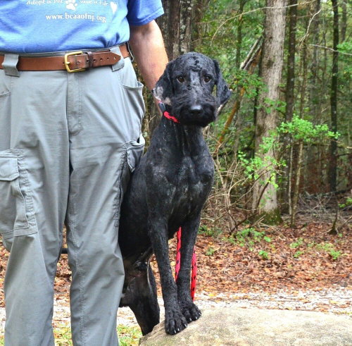Photo 2 of Rollo