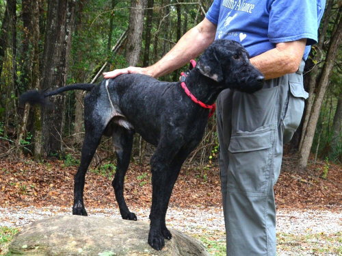 Photo 3 of Rollo